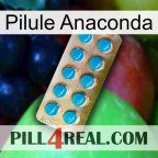Anaconda Pill new09